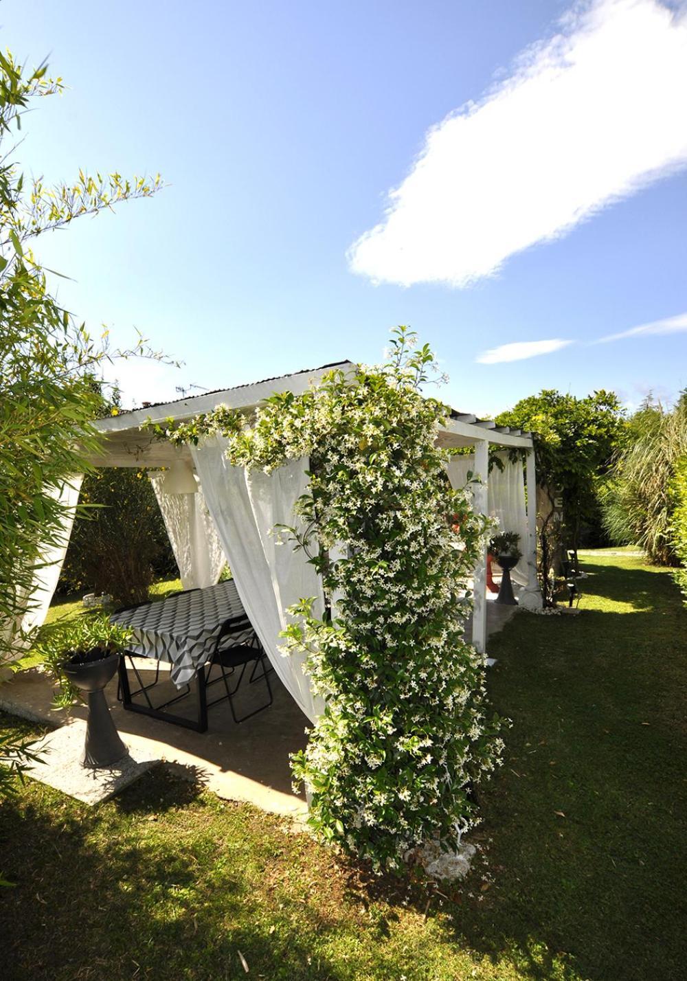 Gan Eden B&B San Benedetto Del Querceto Zewnętrze zdjęcie