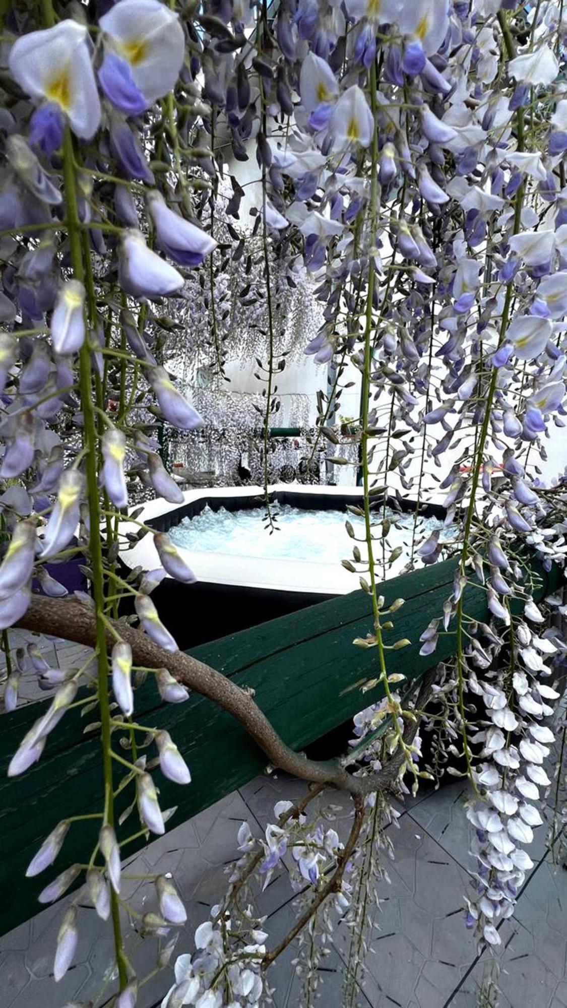 Gan Eden B&B San Benedetto Del Querceto Zewnętrze zdjęcie